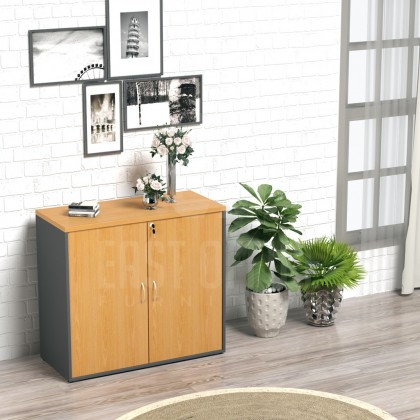 Low Cabinet Swing Door Cabinet 